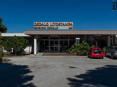 Il nostro viaggio si conclude nella Zona Industriale, precisamente in Viale Luigi Jacobini 5, dove si trova Dedalo, attiva dal 1965 e l�unica a possedere una sua tipografia